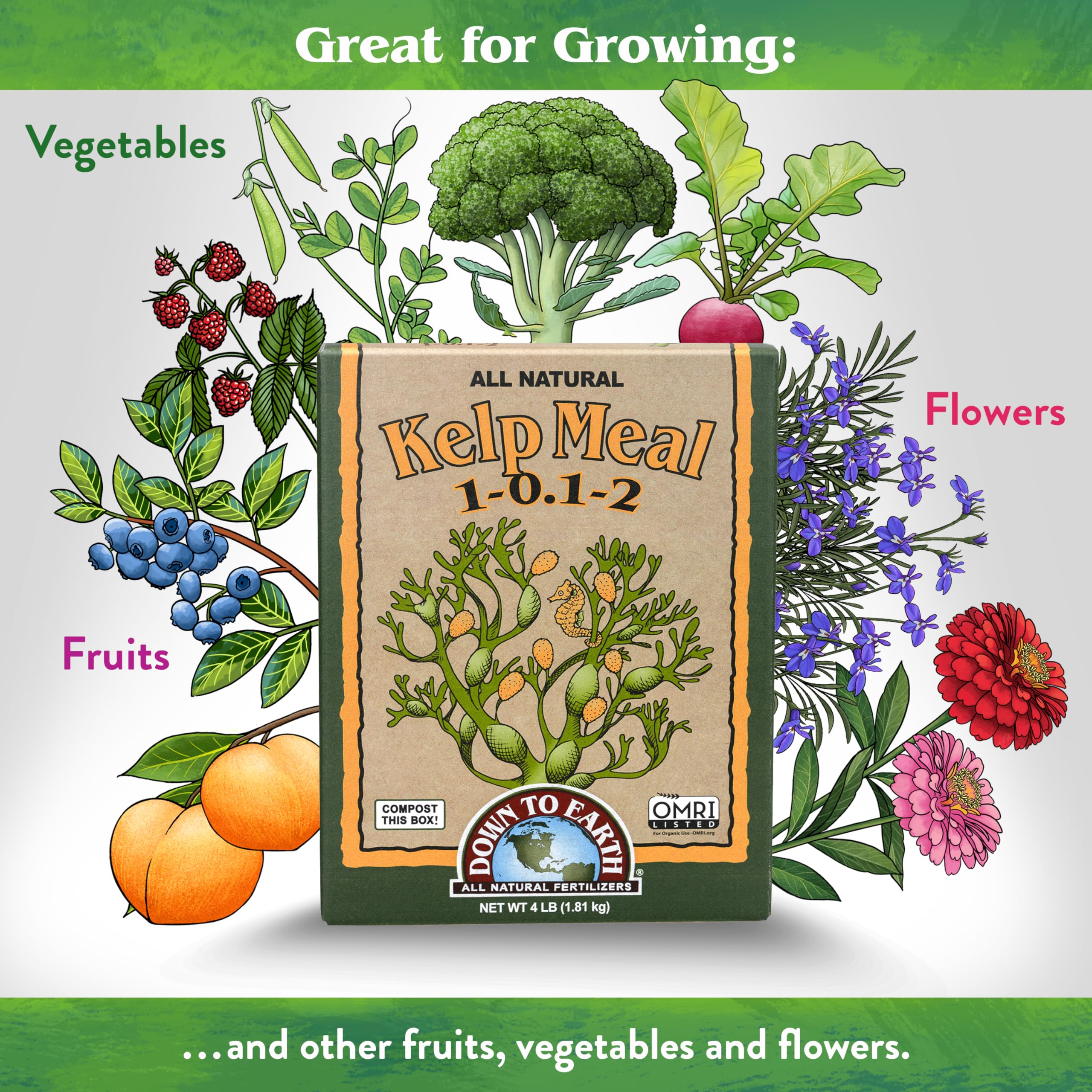 Down To Earth primer plano del polvo de Ascophyllum nodosum con nutrientes