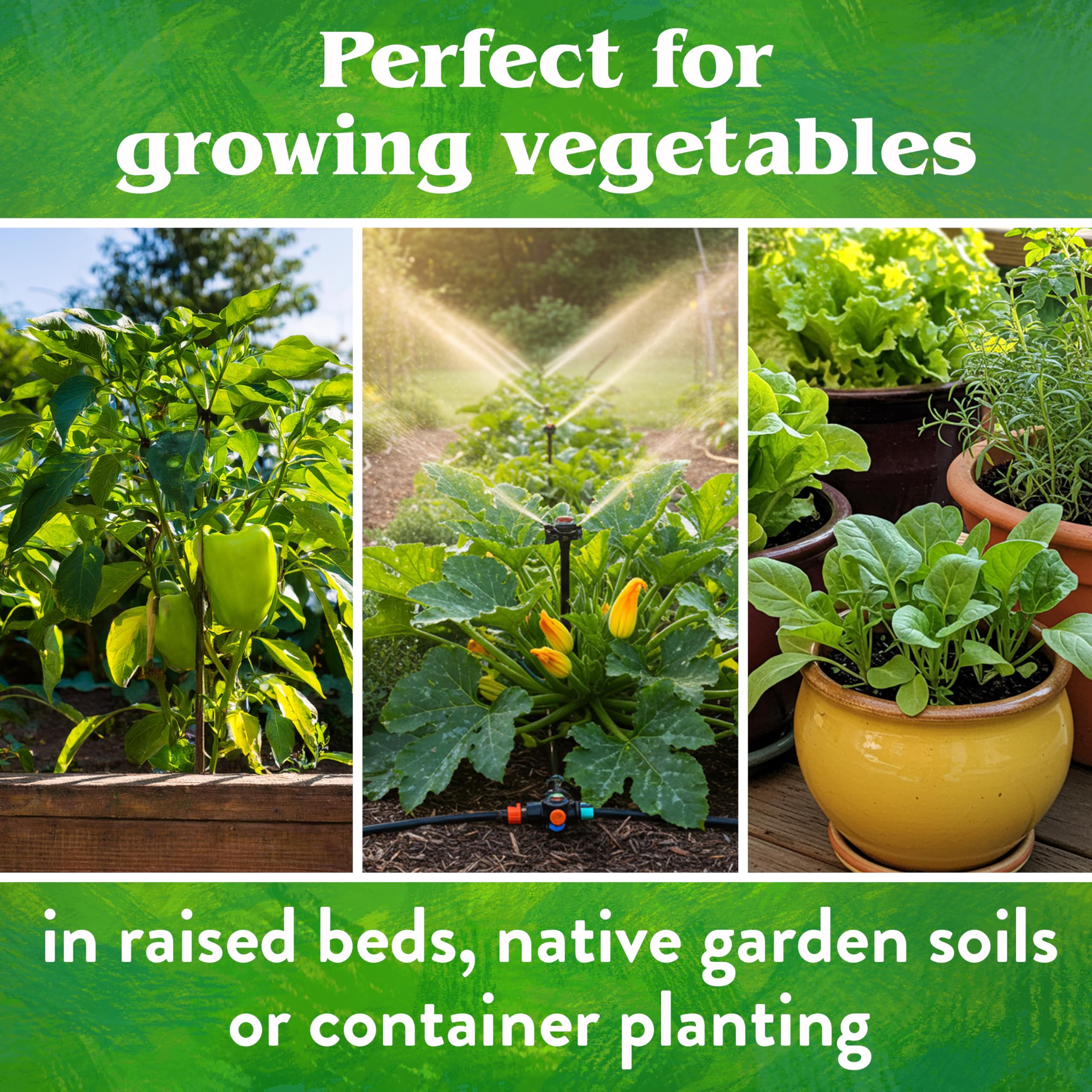 Down To Earth uso en macetas urbanas para vegetales saludables