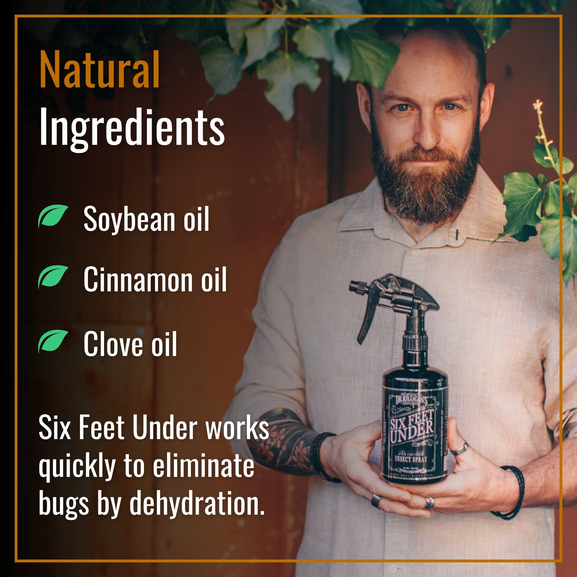 Dr. Killigan's pulverizando zócalo mostrando barrera residual y prevención de insectos