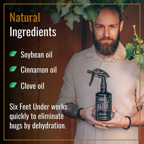 Dr. Killigan's pulverizando zócalo mostrando barrera residual y prevención de insectos