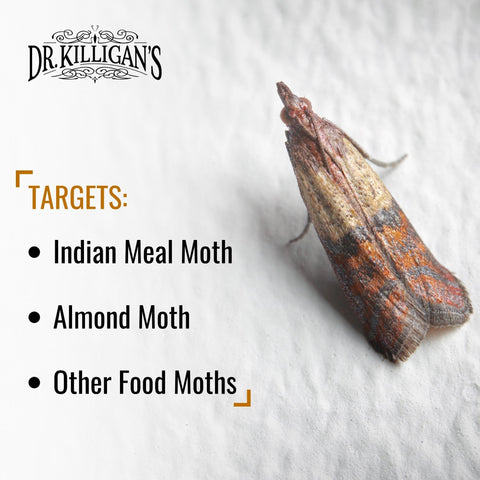 Dr. Killigan's trampa colocada en despensa evita infestaciones alimentarias