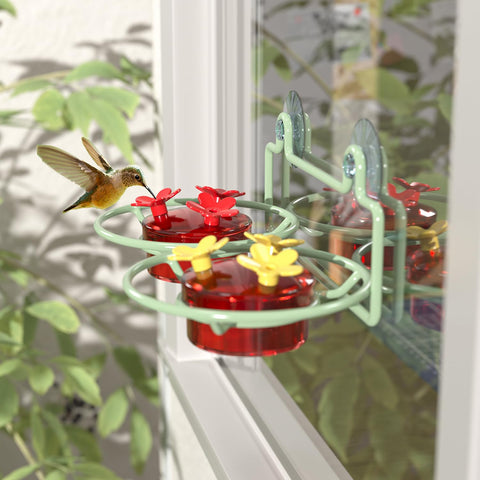 Dreamdrawer comedero en uso con colibrí alimentándose, experiencia cercana y natural