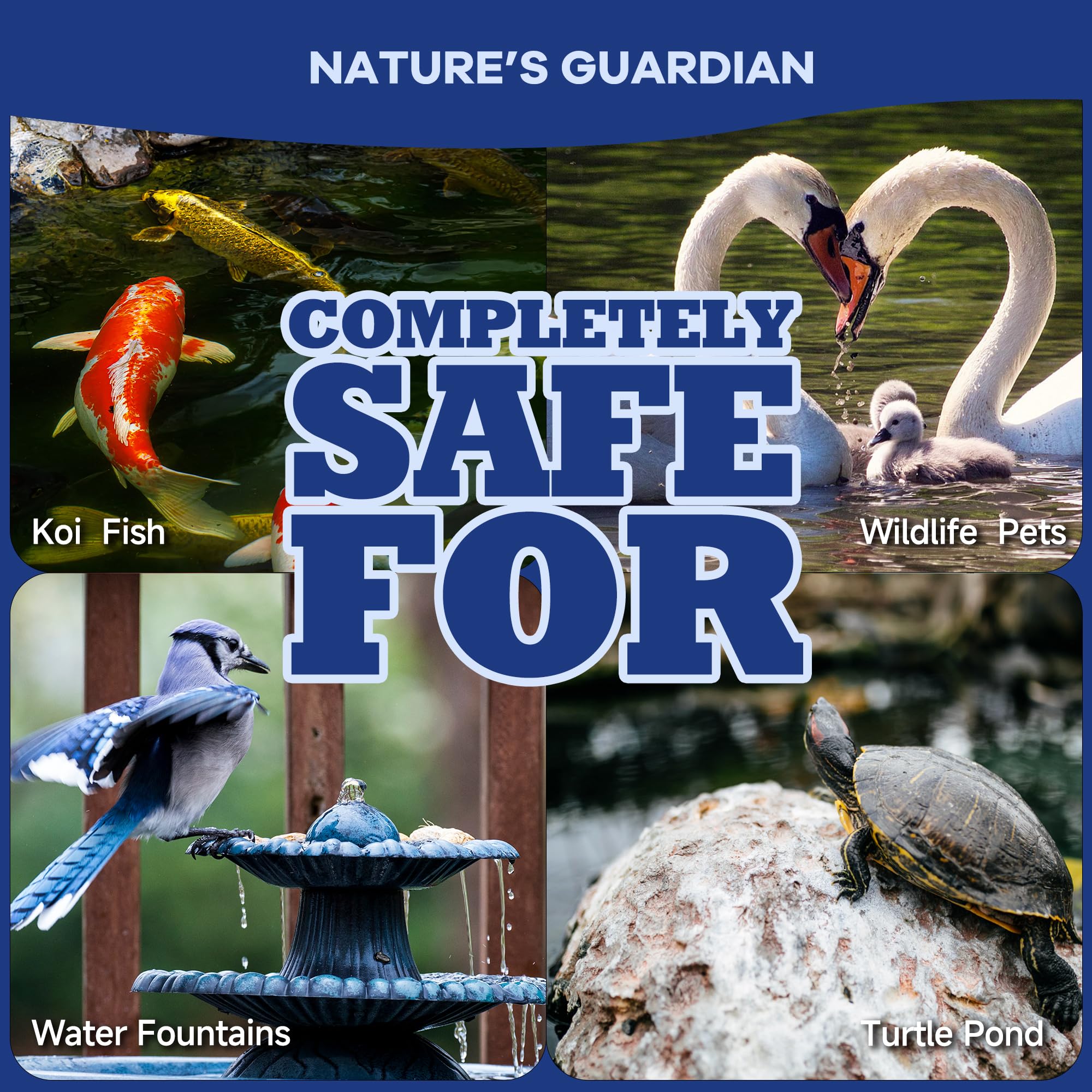 Dr.Raifya's etiqueta con instrucciones clara y dosificación segura para fauna