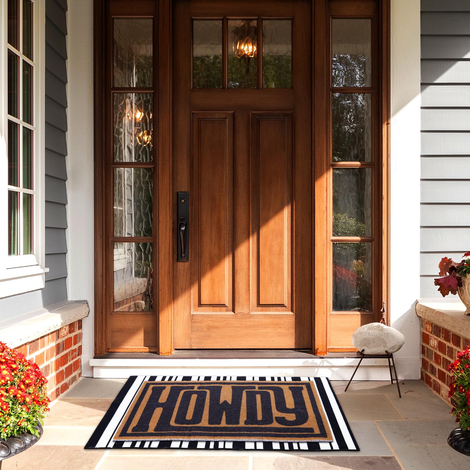 Drydiet primer plano textura TPR raspa suciedad eficientemente