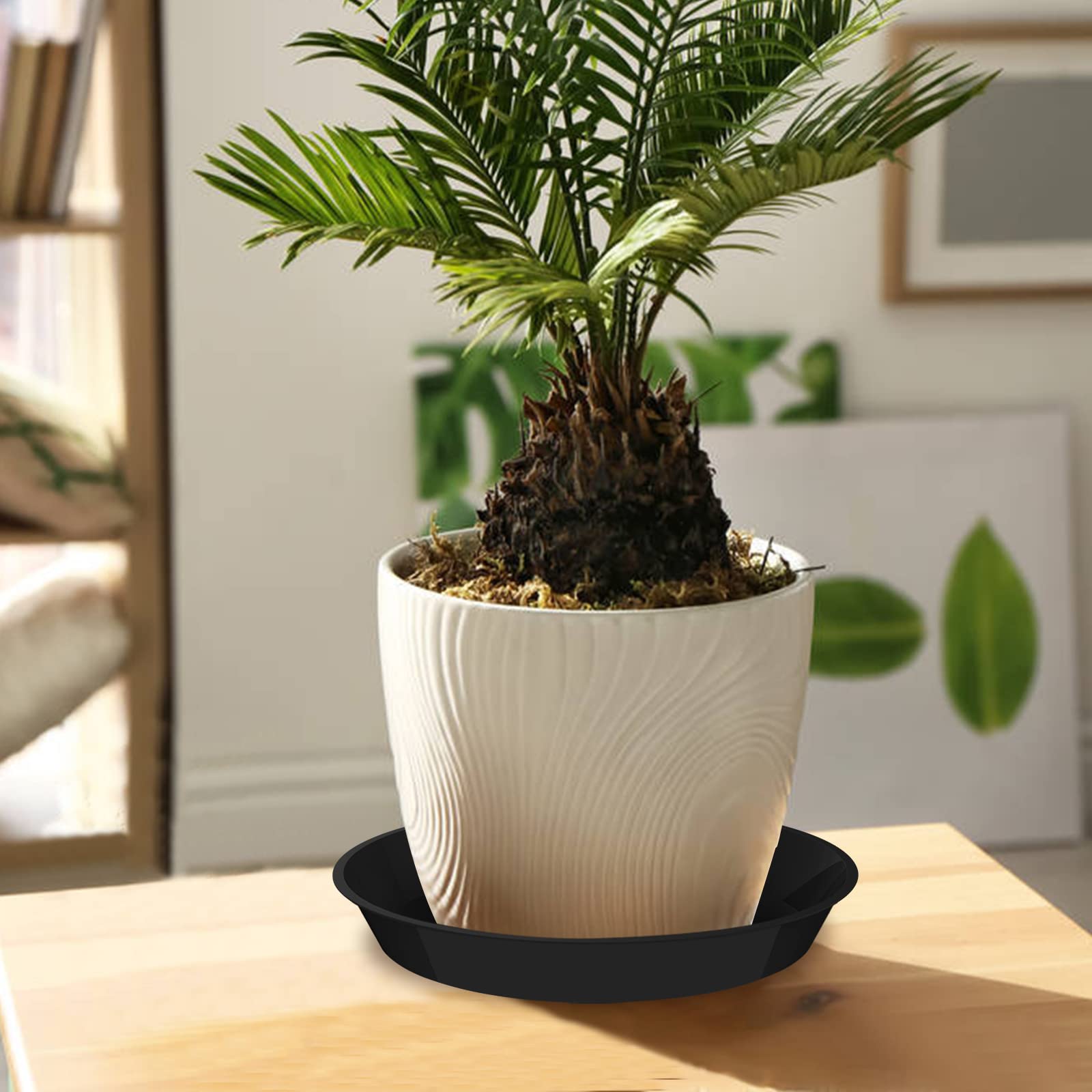 DUNPUTE platillos en un balcón con plantas, mantiene orden y protege suelo