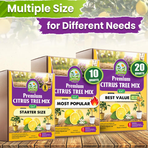 Árbol cítrico en balcón con sustrato Duspro para cultivo en contenedor