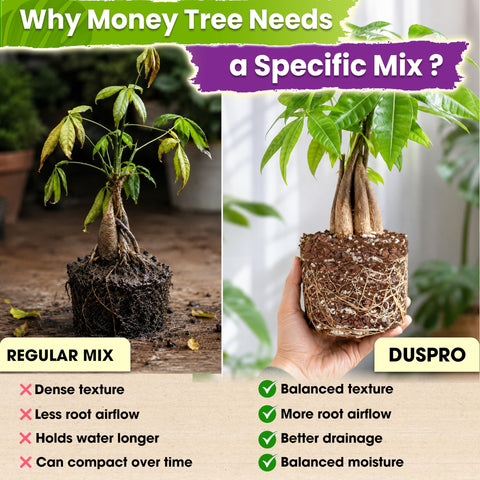 Duspro primer plano de perlita y corteza resaltando drenaje eficaz