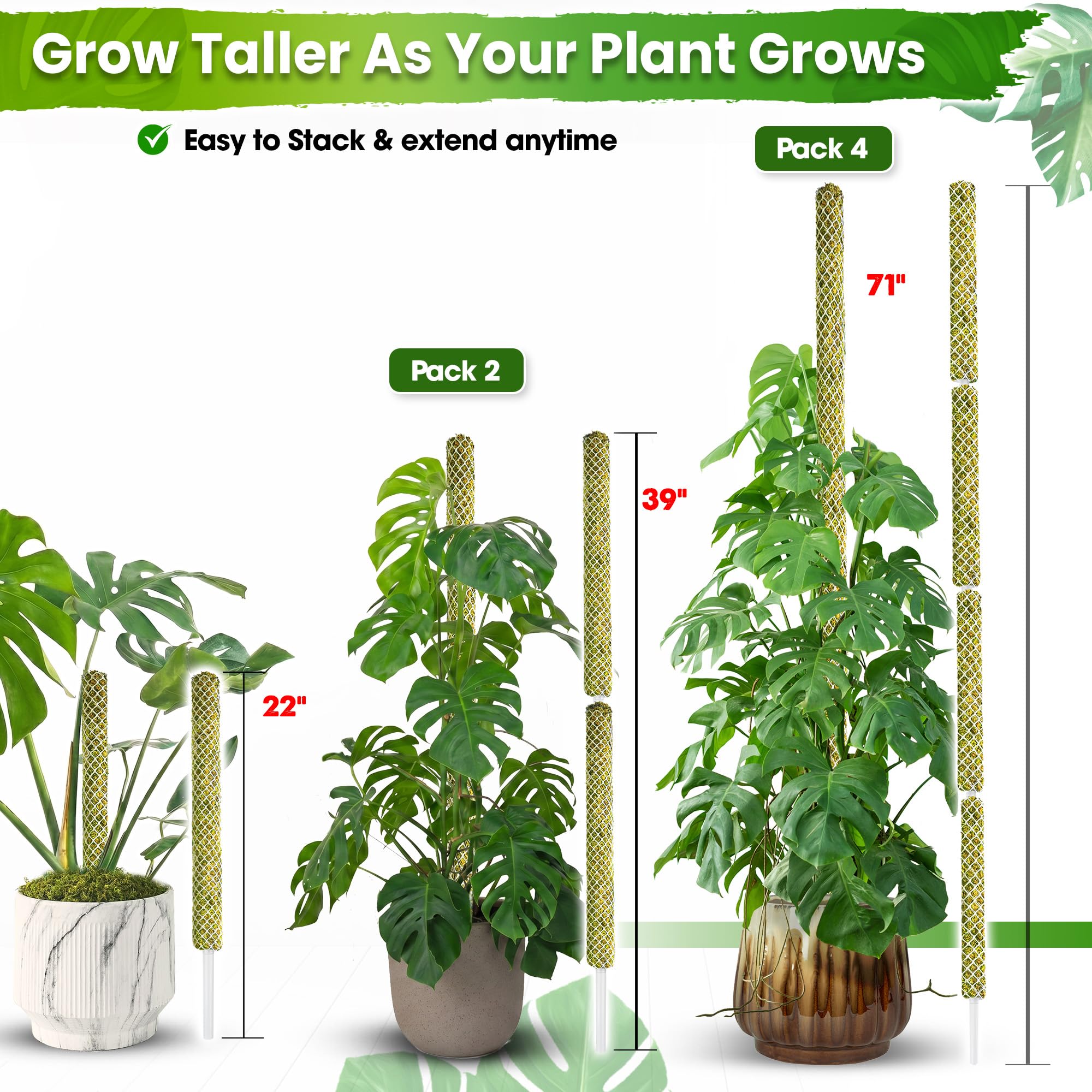 DUSPRO poste instalado en maceta para crecimiento vertical ordenado