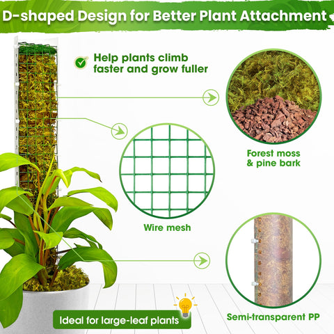 duspro poste en uso con Monstera mostrando soporte vertical y estética natural