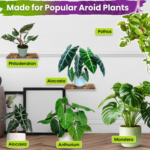 Duspro mezcla en uso trasplantando una Monstera para mejor crecimiento
