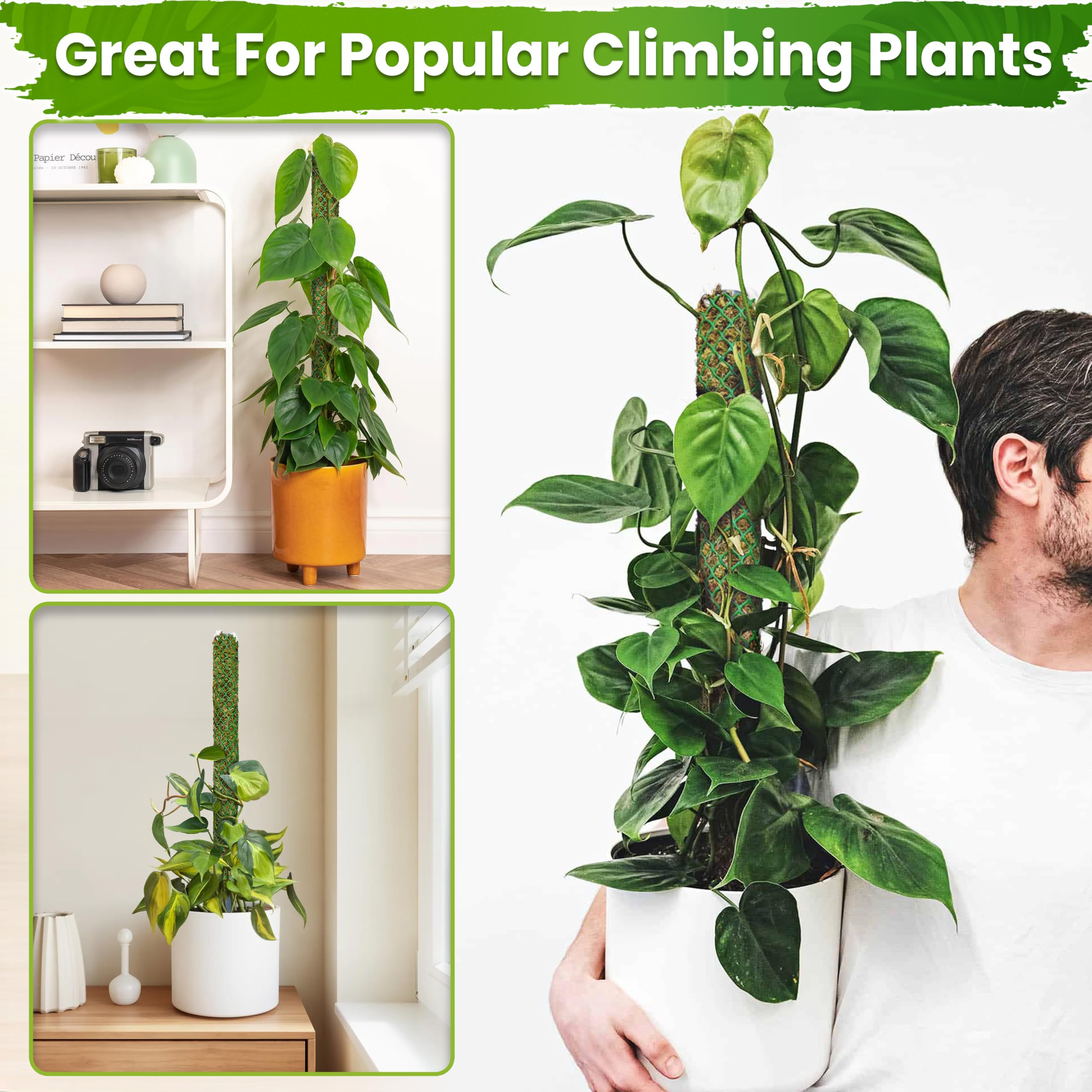 DUSPRO poste en escena interior que organiza plantas y decora