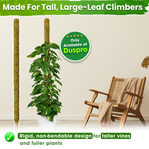 Duspro soporte en maceta grande sosteniendo follaje pesado