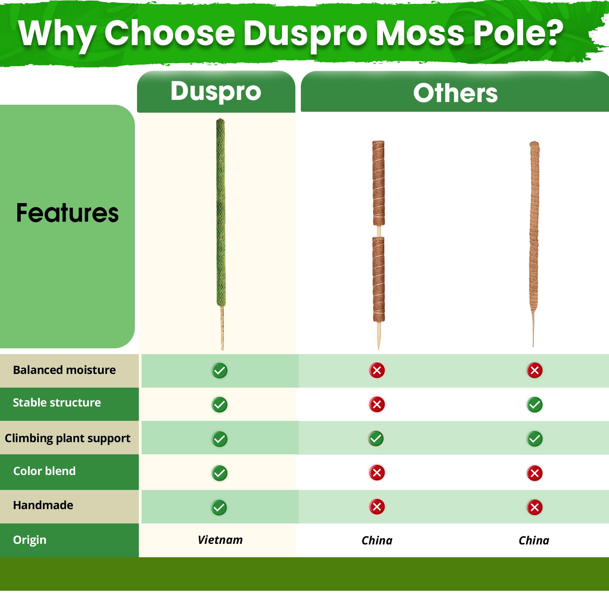 DUSPRO malla PVC verde que asegura el musgo y mantiene forma