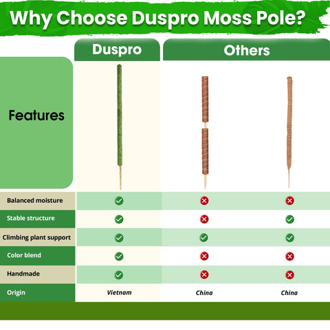 Duspro detalle de malla PVC verde que asegura el musgo