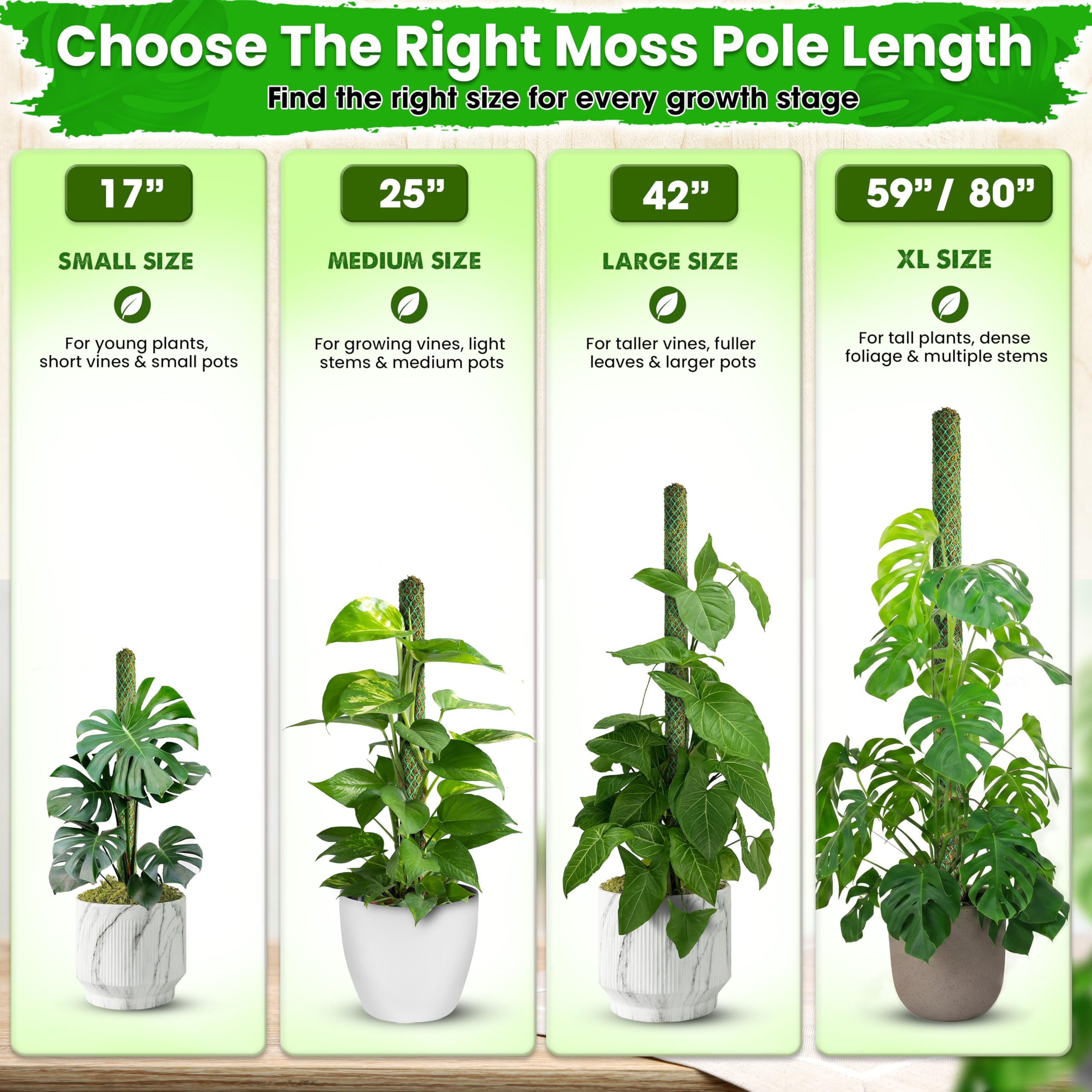 Duspro pértiga con Monstera en sala, mejora estética y verticalidad