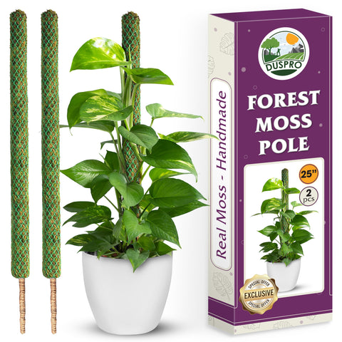 DUSPRO poste de musgo frontal mostrando soporte natural y aspecto verde