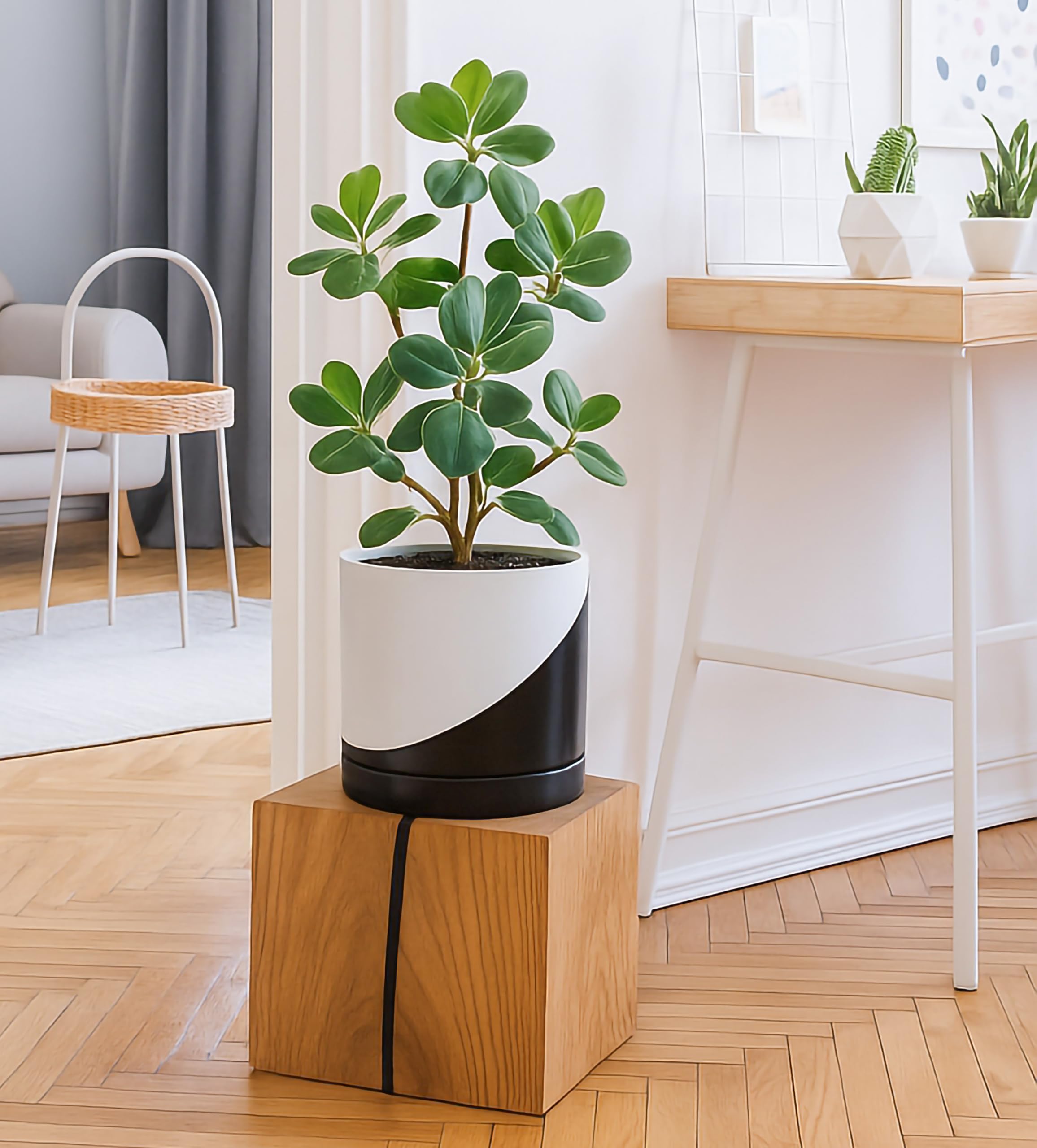 D'vine Dev accesorios incluidos redes de drenaje y almohadillas protectoras
