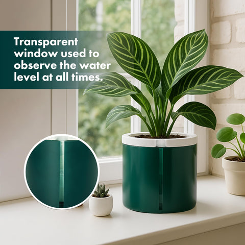 D'vine Dev ambientación decorativa integrando planta y diseño elegante