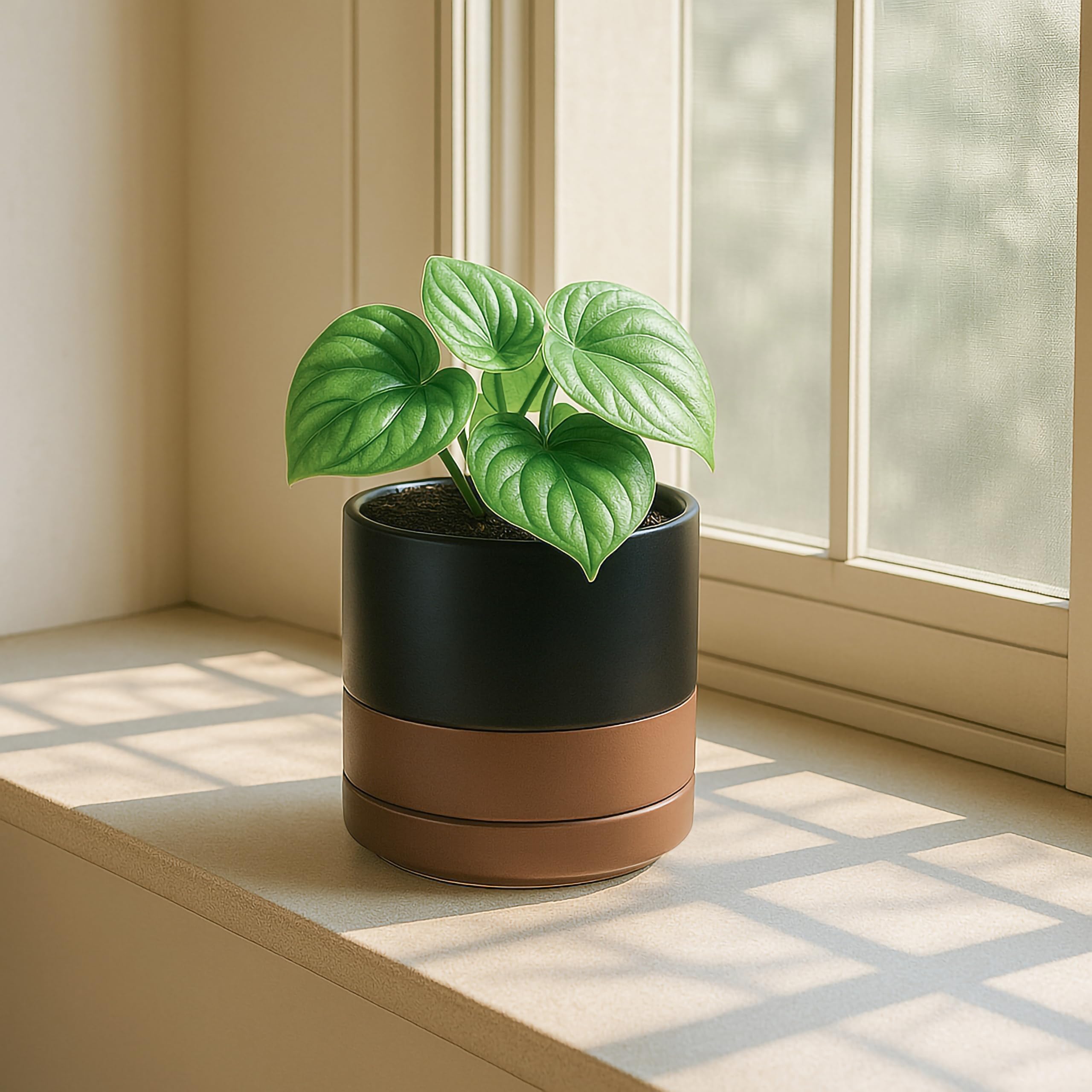 D'vine Dev ambientación interior con maceta que mejora la decoración