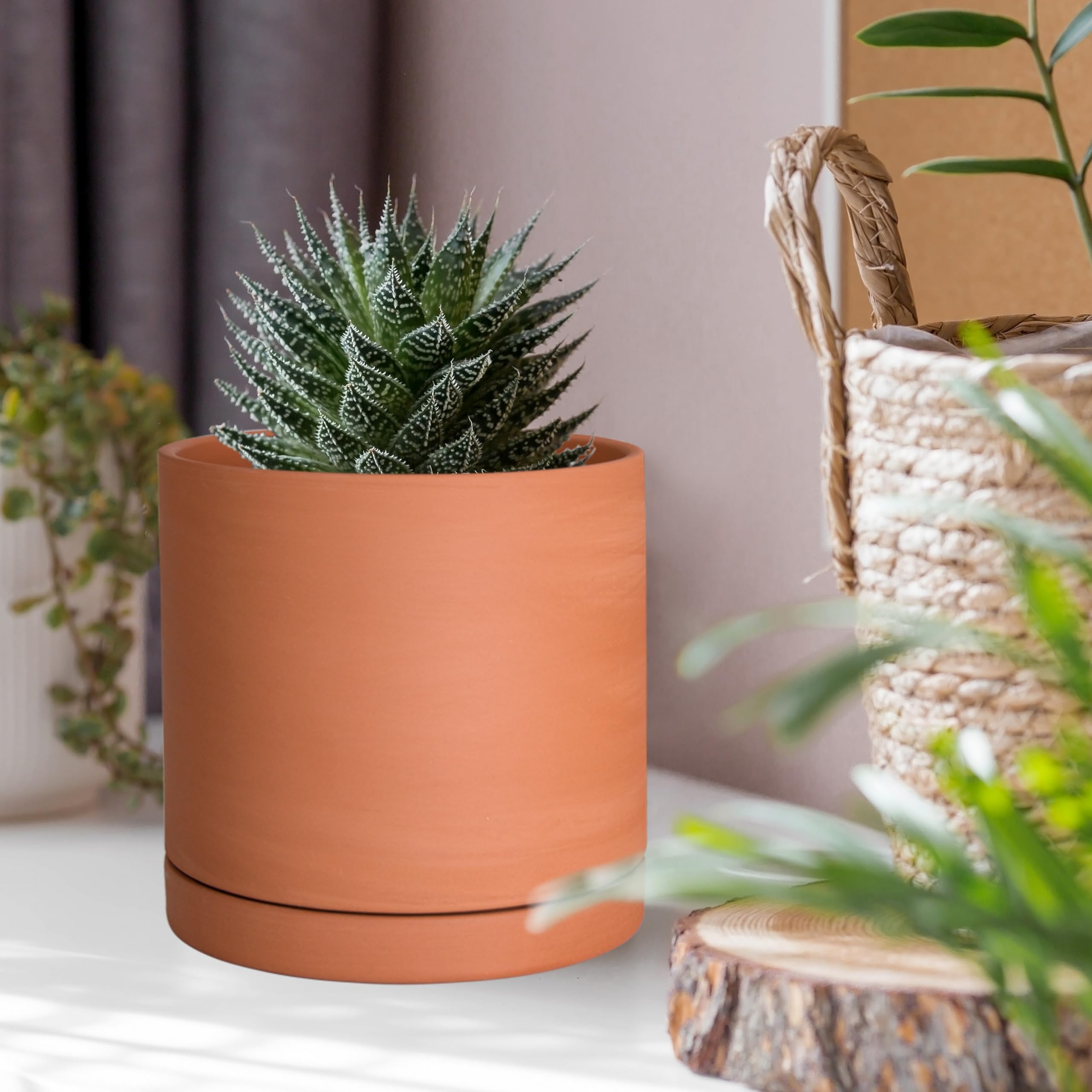 D'vine Dev en ambiente interior moderno aportando calidez y decoración