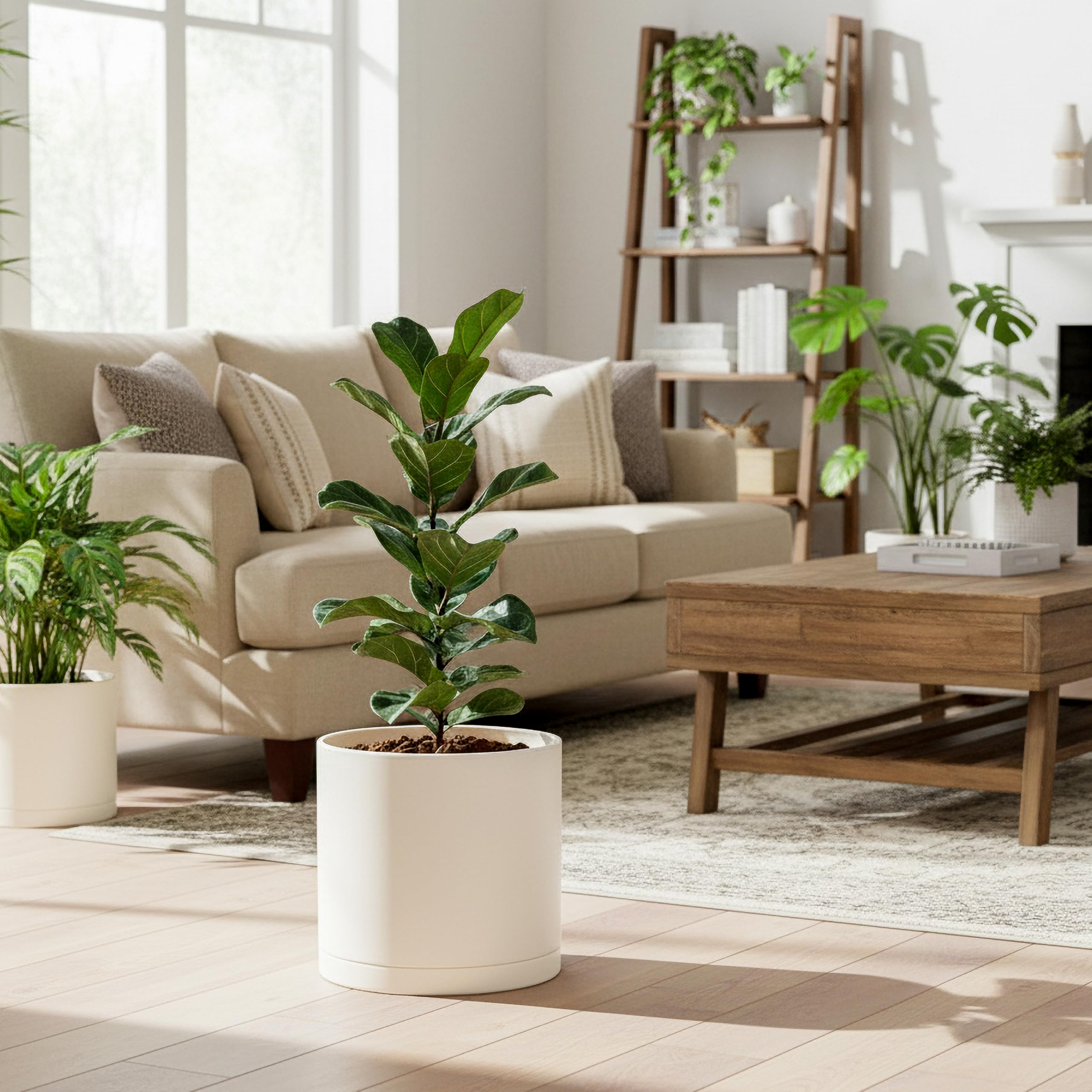 D'vine Dev macetas en ambiente decorativo del salón integradas con estilo