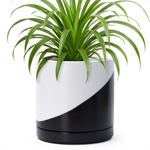 D'vine Dev maceta en ambiente de salón aportando estilo y orden