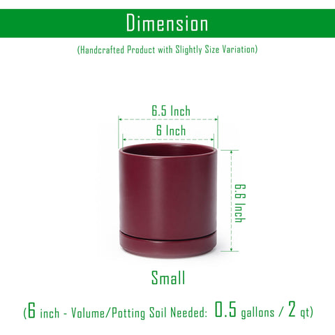 D'vine Dev detalle del esmalte cerámico mostrando textura resistente y brillo