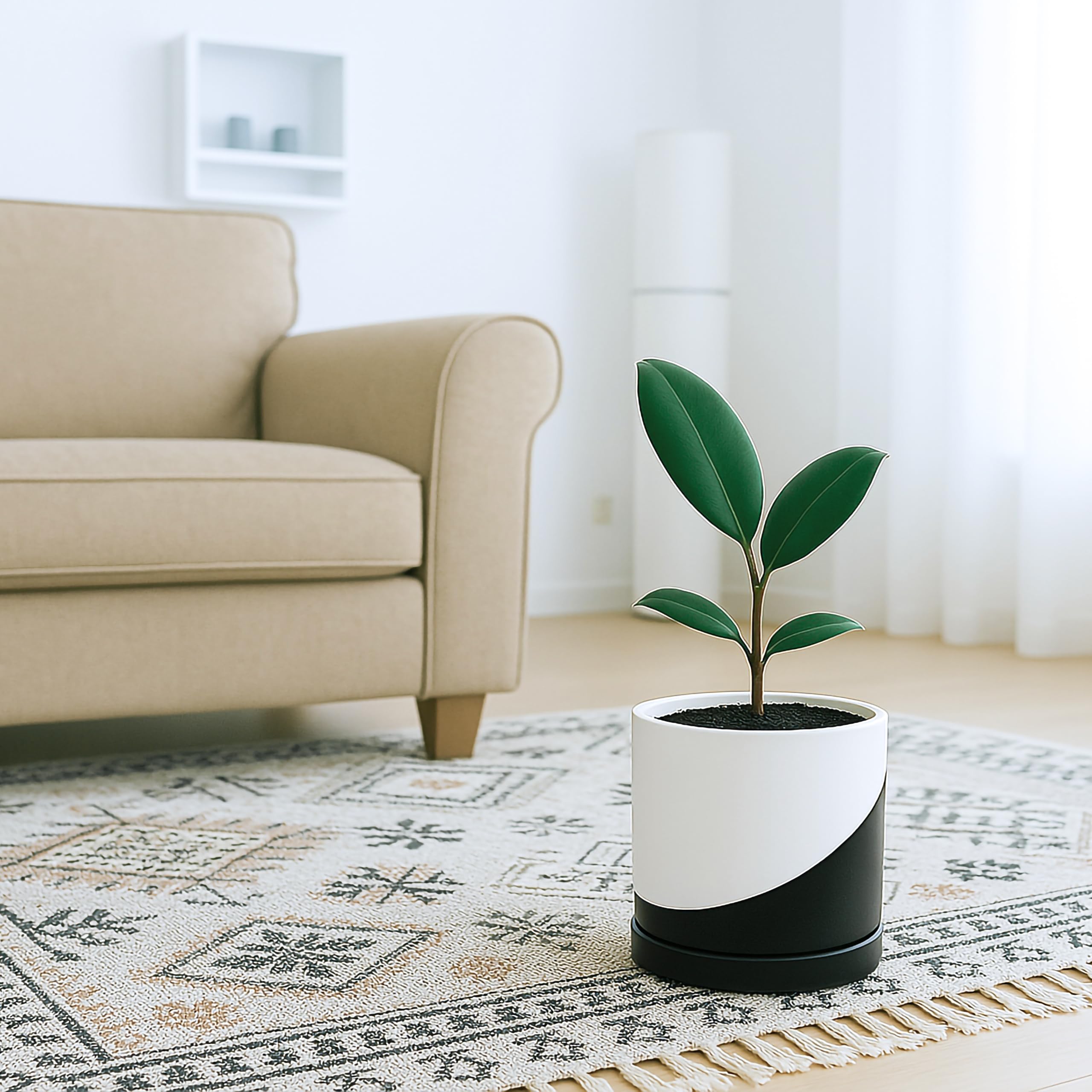 D'vine Dev maceta en escritorio apoyando planta y mejorando decoración