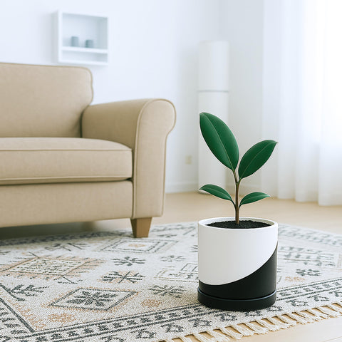 D'vine Dev maceta en escritorio apoyando planta y mejorando decoración