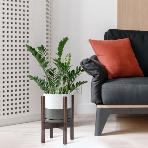 D'vine Dev maceta en uso en salón aportando estilo y verde decorativo
