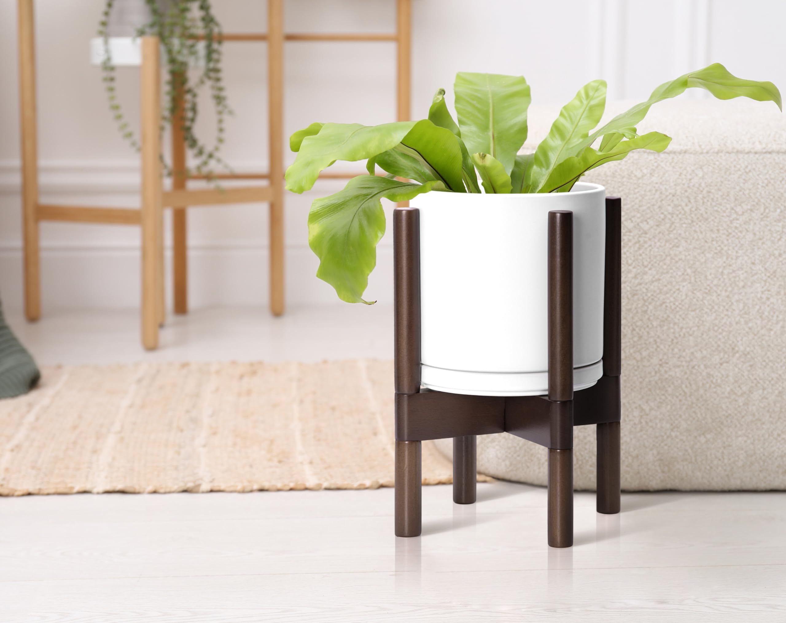 D'vine Dev maceta junto a silla para comparar tamaño y escala real
