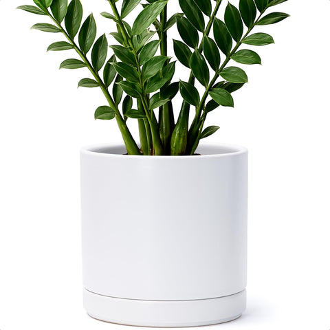 D'vine Dev en salón estilo mostrando integración estética y protección de muebles