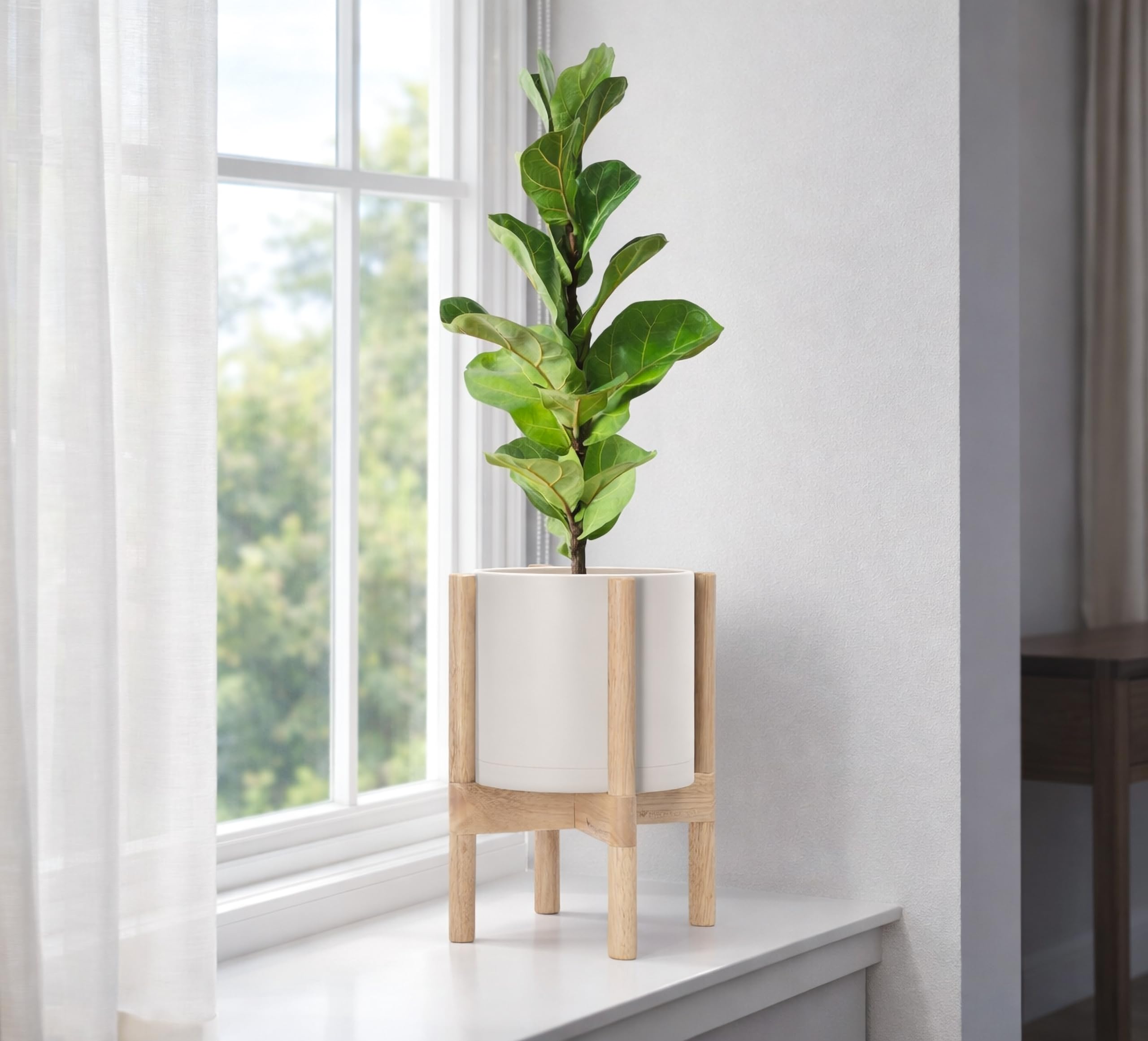 D'vine Dev en ambiente de salón, integra la maceta en decoración contemporánea