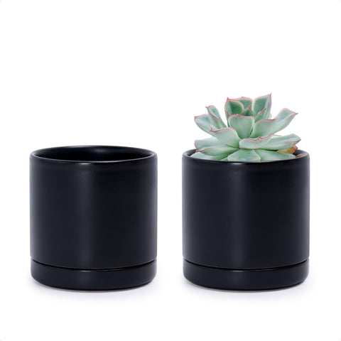 D'vine Dev vista frontal del pack de dos macetas, elegante y compacta
