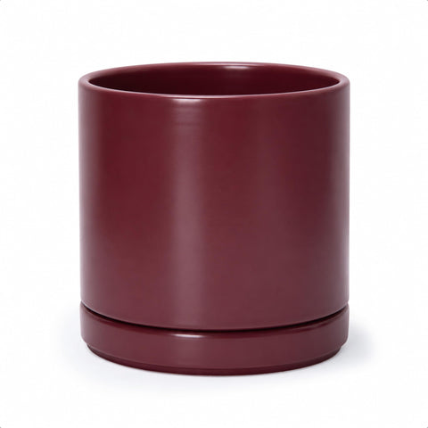 D'vine Dev maceta frontal Cordovan con aspecto elegante y compacto