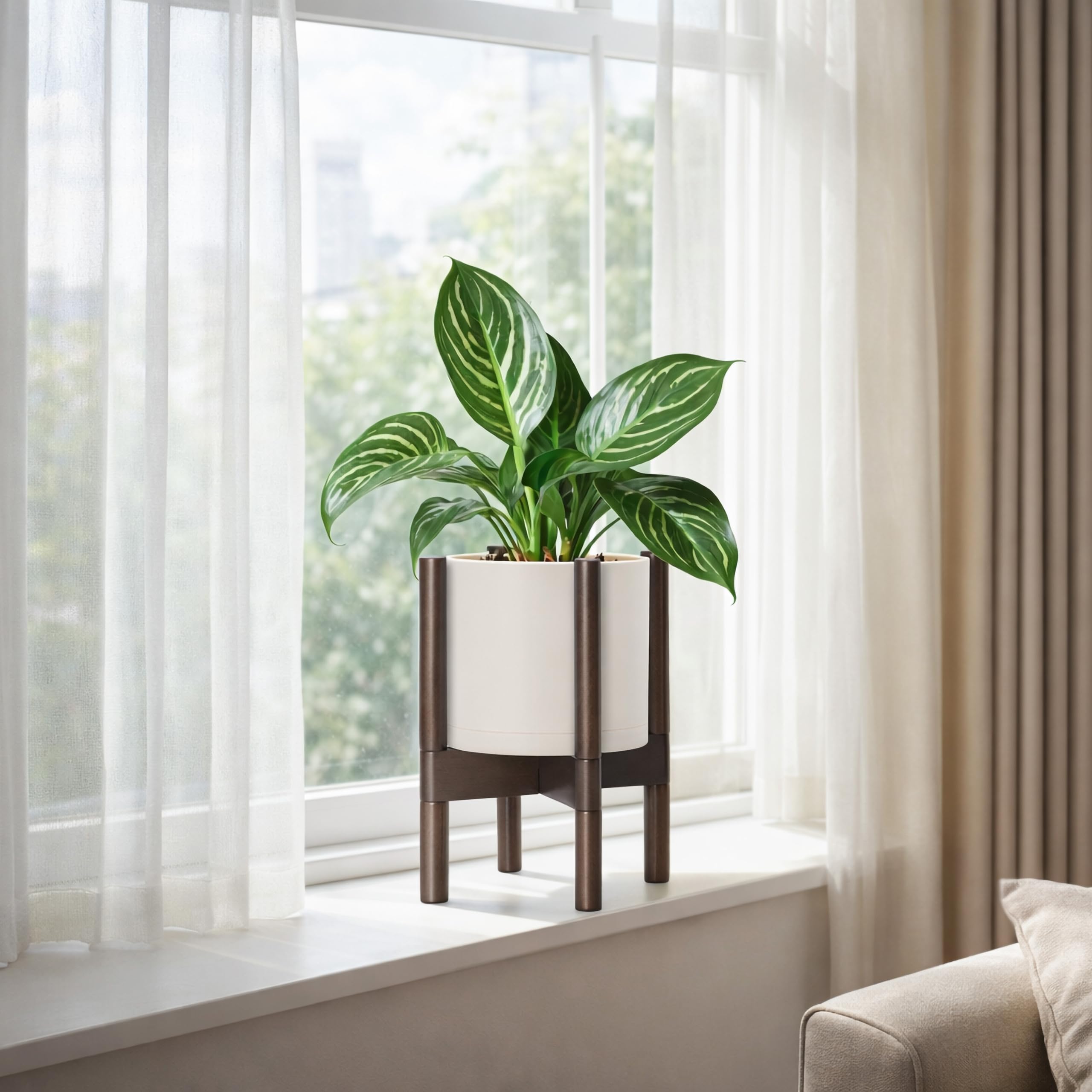 D'vine Dev conjunto con planta en salón realzando decoración interior