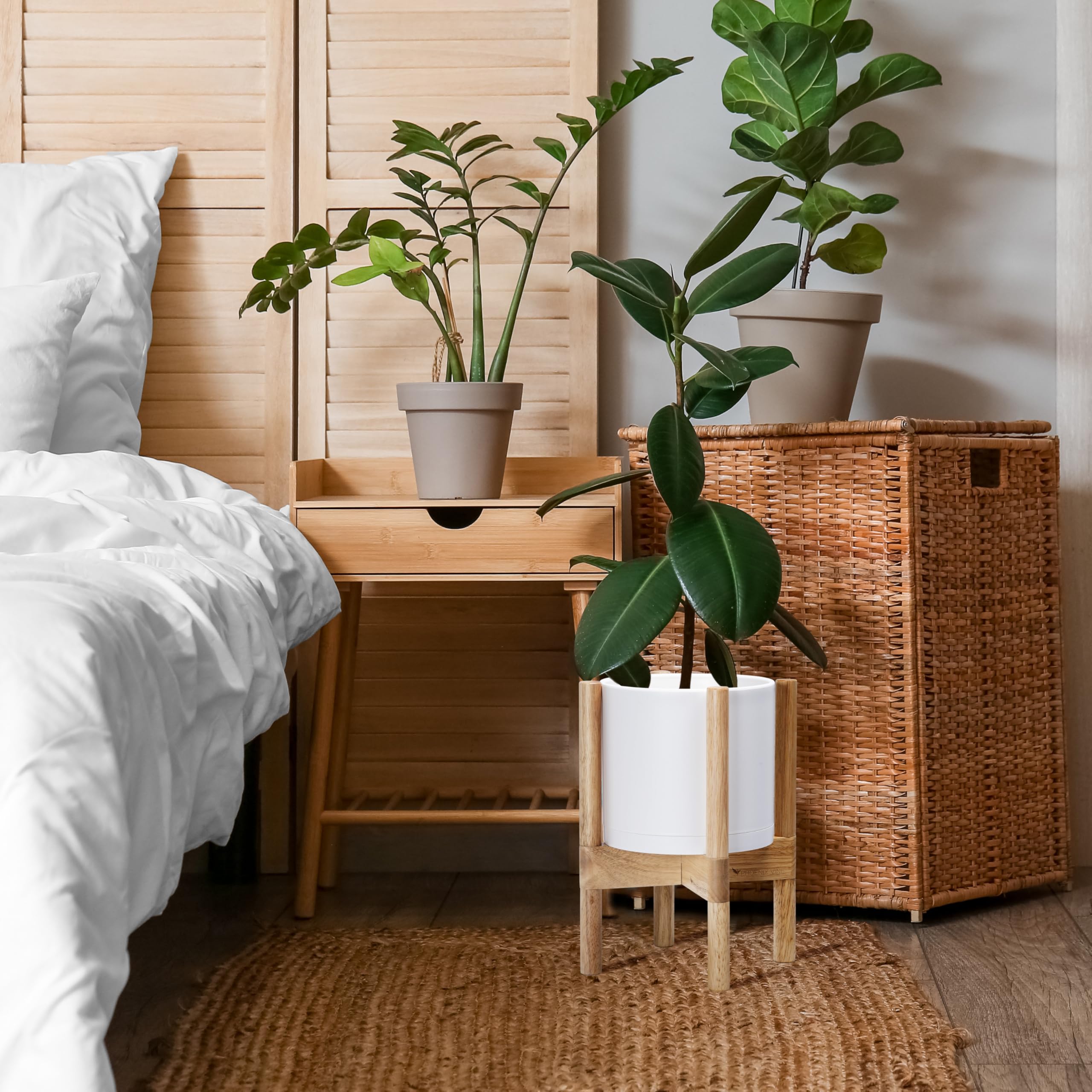 D'vine Dev maceta con planta en salón realzando decoración y armonía visual