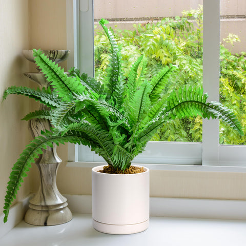 D'vine Dev maceta con planta en interior estética y funcionalidad