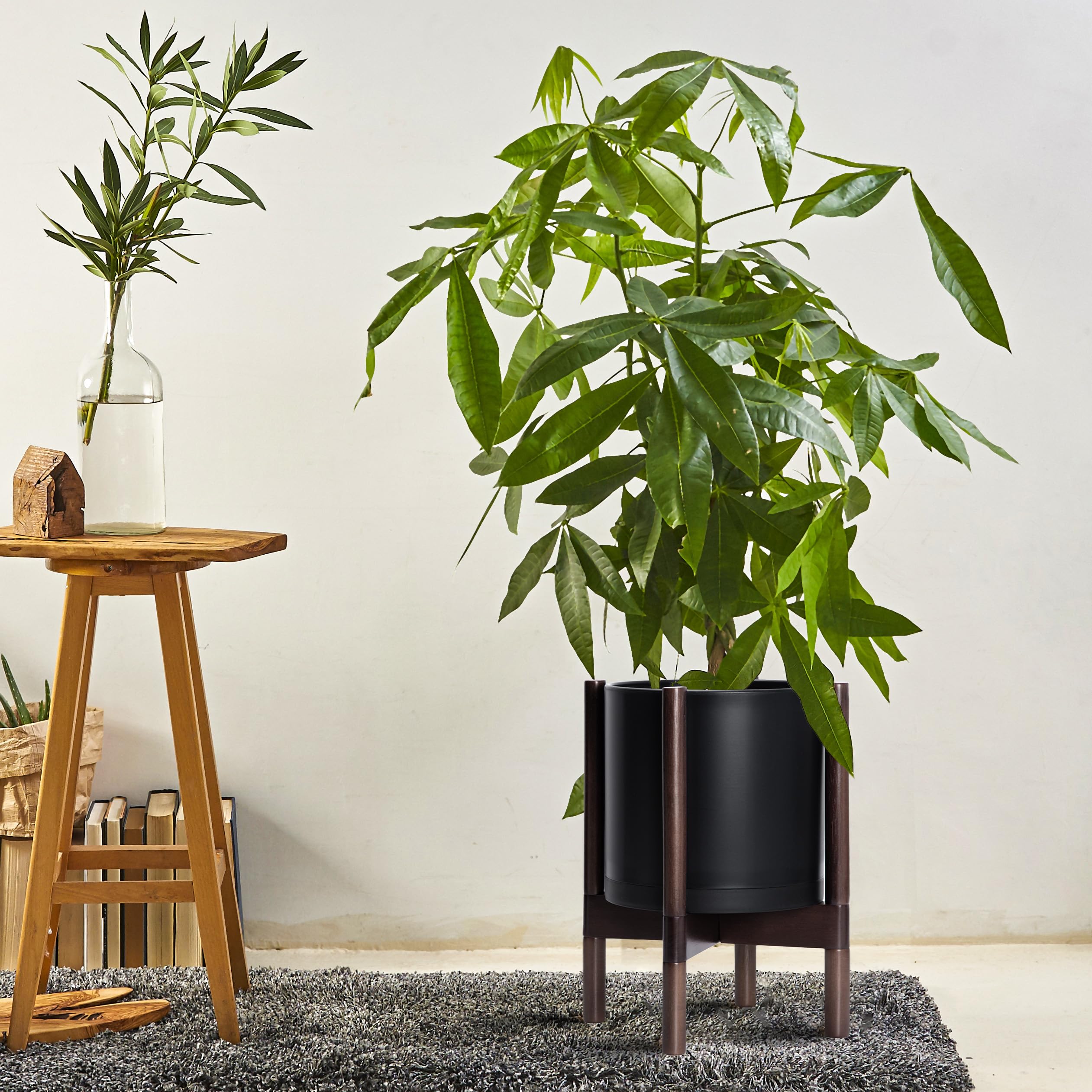 D'vine Dev maceta con planta en uso que realza el verdor interior