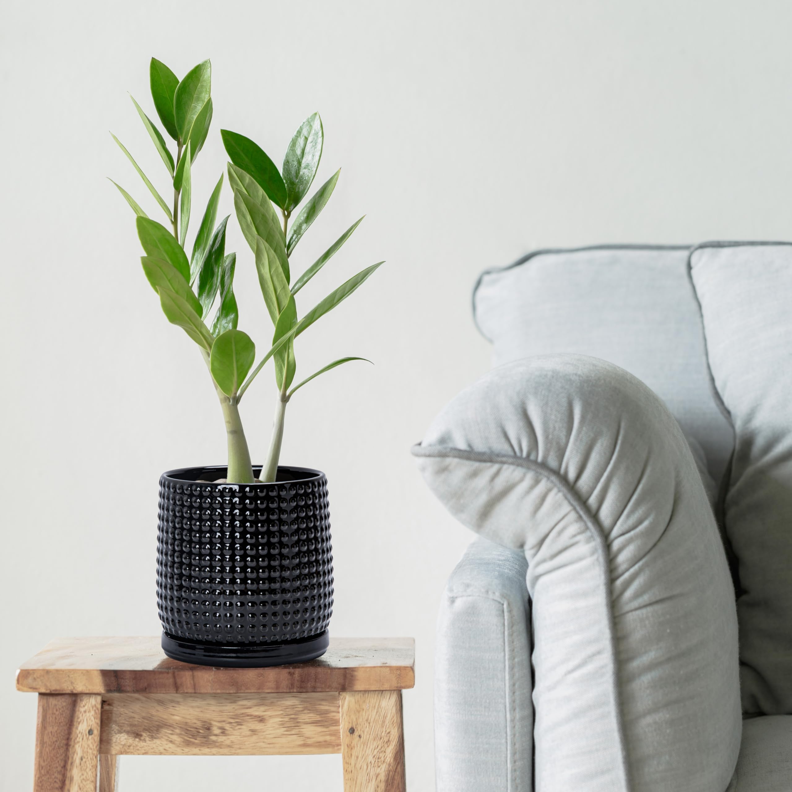 D'vine Dev maceta en ambiente decorado aportando estilo y protección a superficies