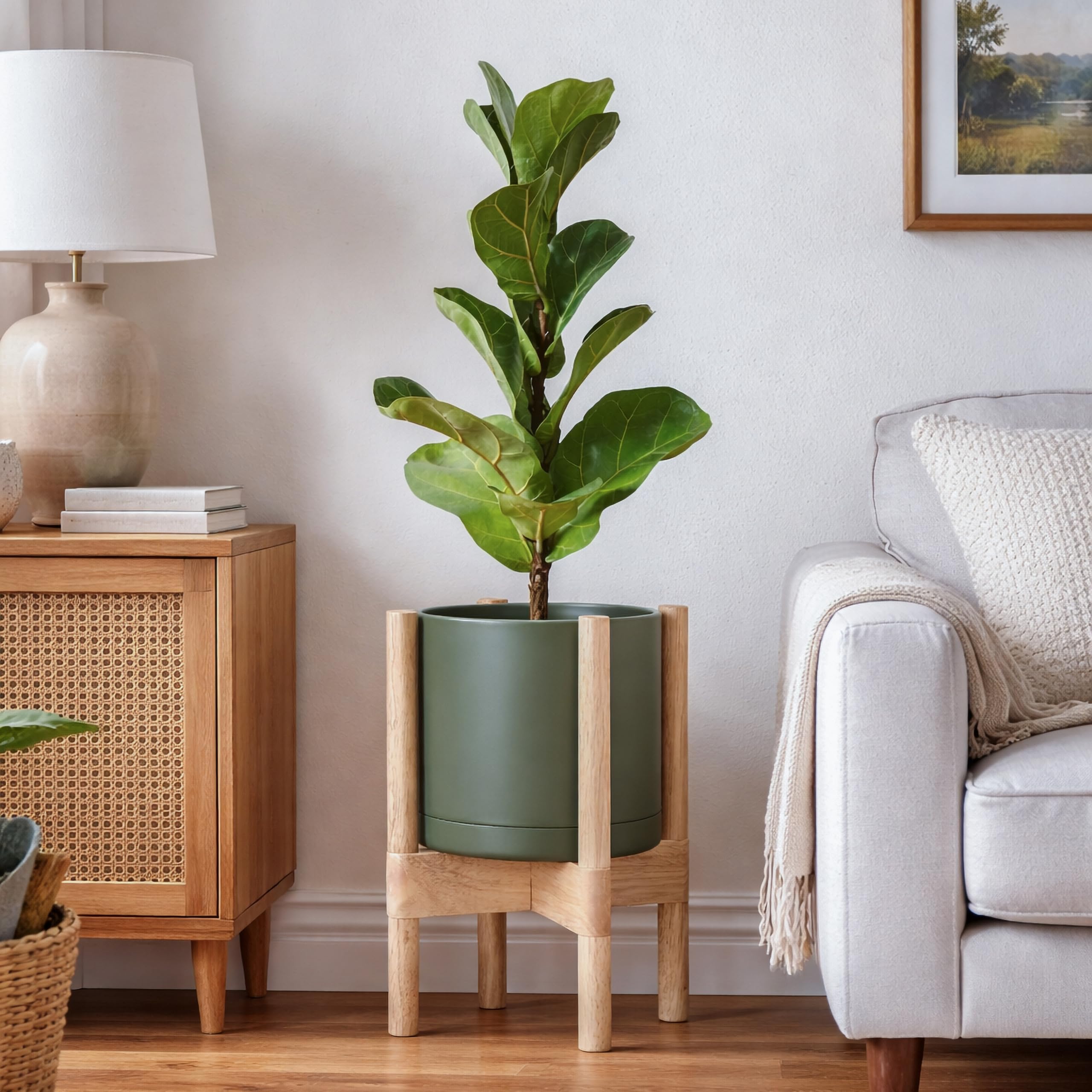 D'vine Dev maceta en uso con planta real mejorando ambiente interior