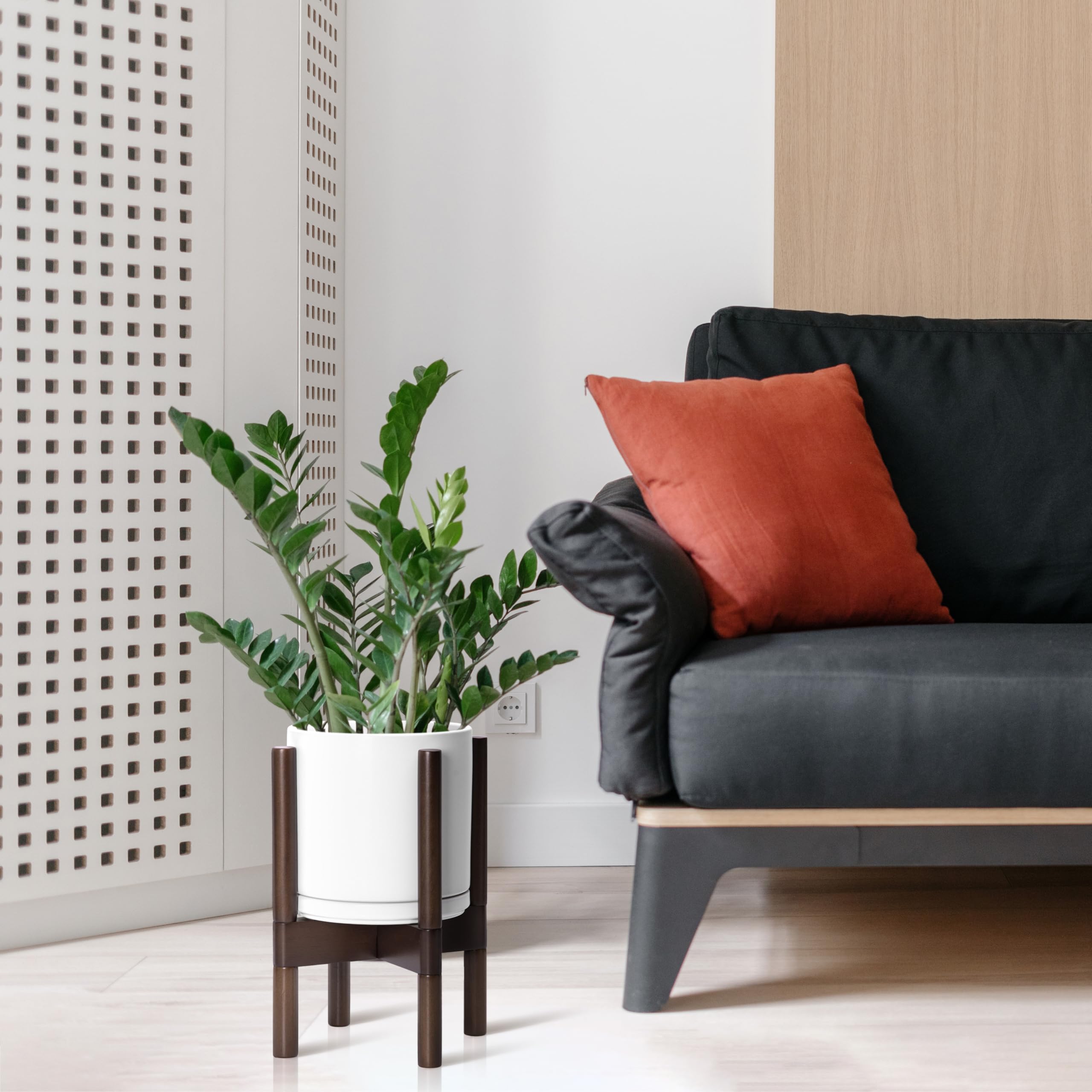D'vine Dev maceta con planta colocada en sala para estilo y decoración