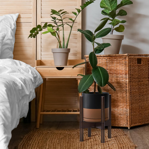 D'vine Dev maceta con planta real en uso aportando verdor decorativo