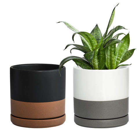 D'vine Dev maceta frontal blanco-gris mostrando elegancia y ahorro de espacio