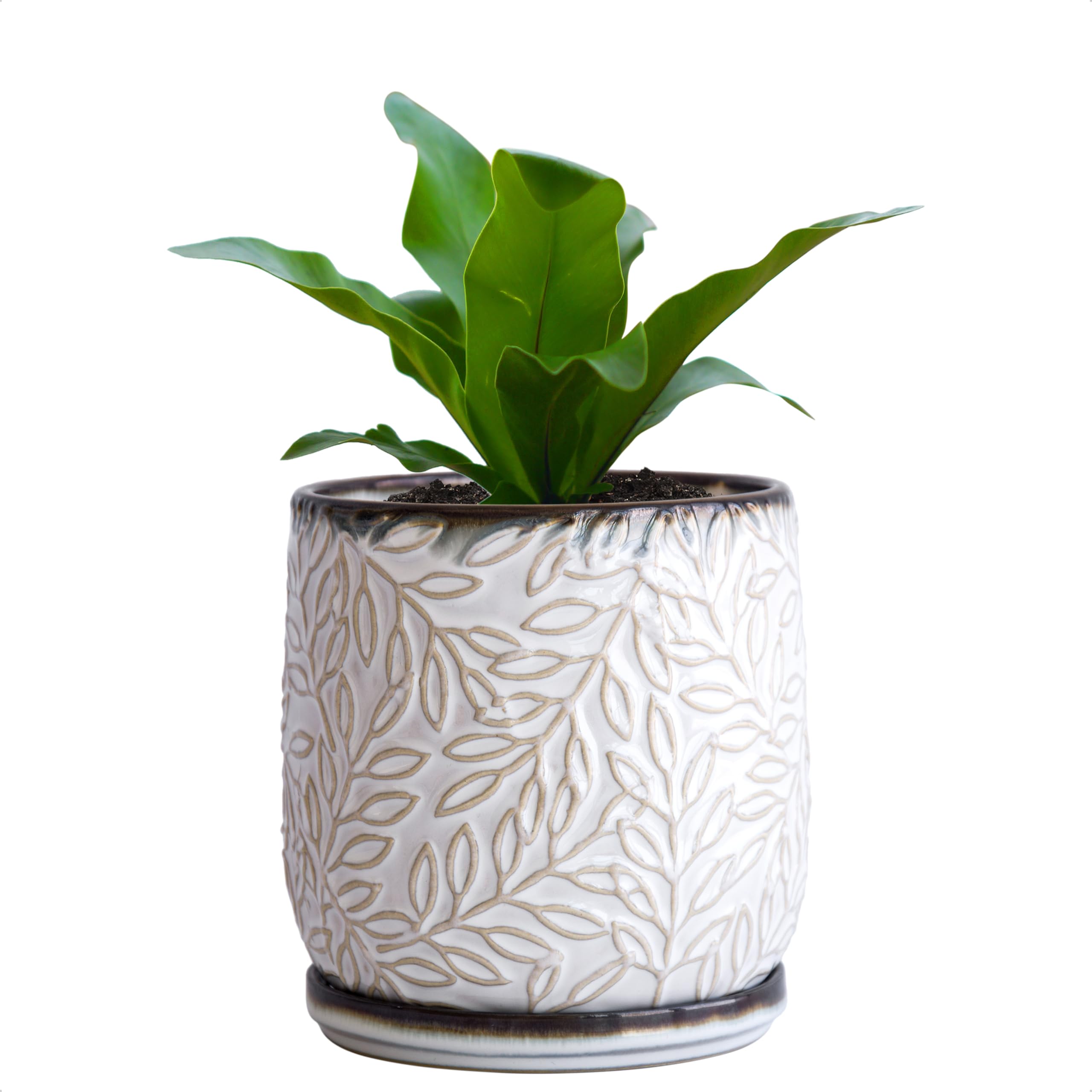 D'vine Dev maceta frontal de cerámica smoked white con hojas en relieve, aspecto elegante