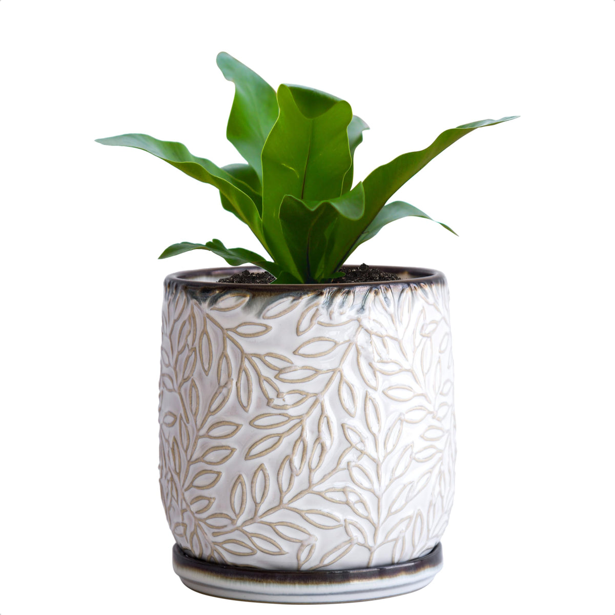 D'vine Dev maceta frontal de cerámica smoked white con hojas en relieve, aspecto elegante