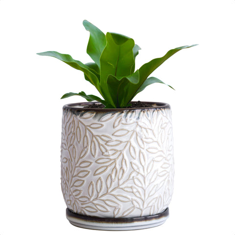 D'vine Dev maceta frontal de cerámica smoked white con hojas en relieve, aspecto elegante