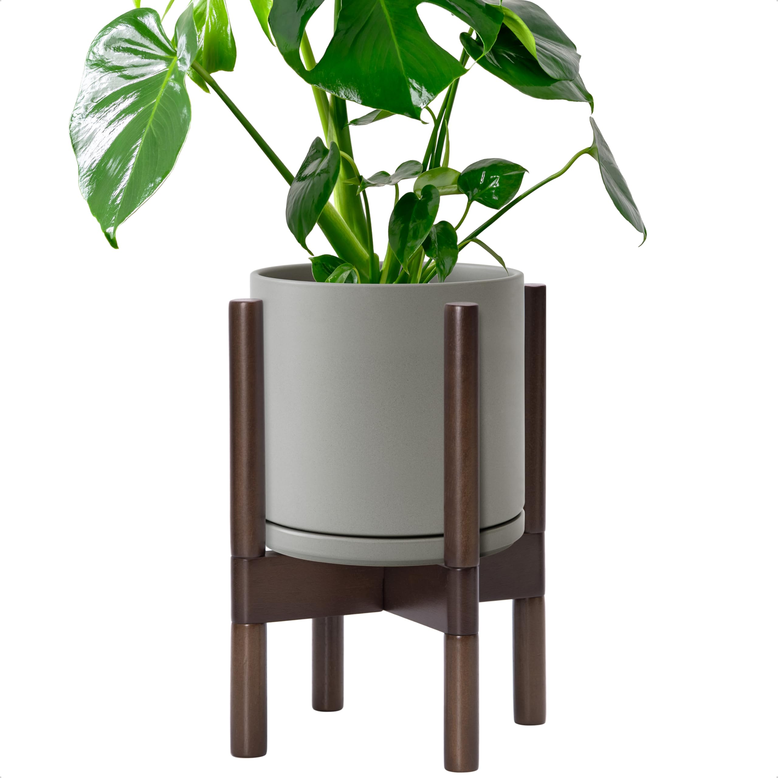 D'vine Dev maceta frontal gris mostrando diseño cilíndrico y acabado elegante