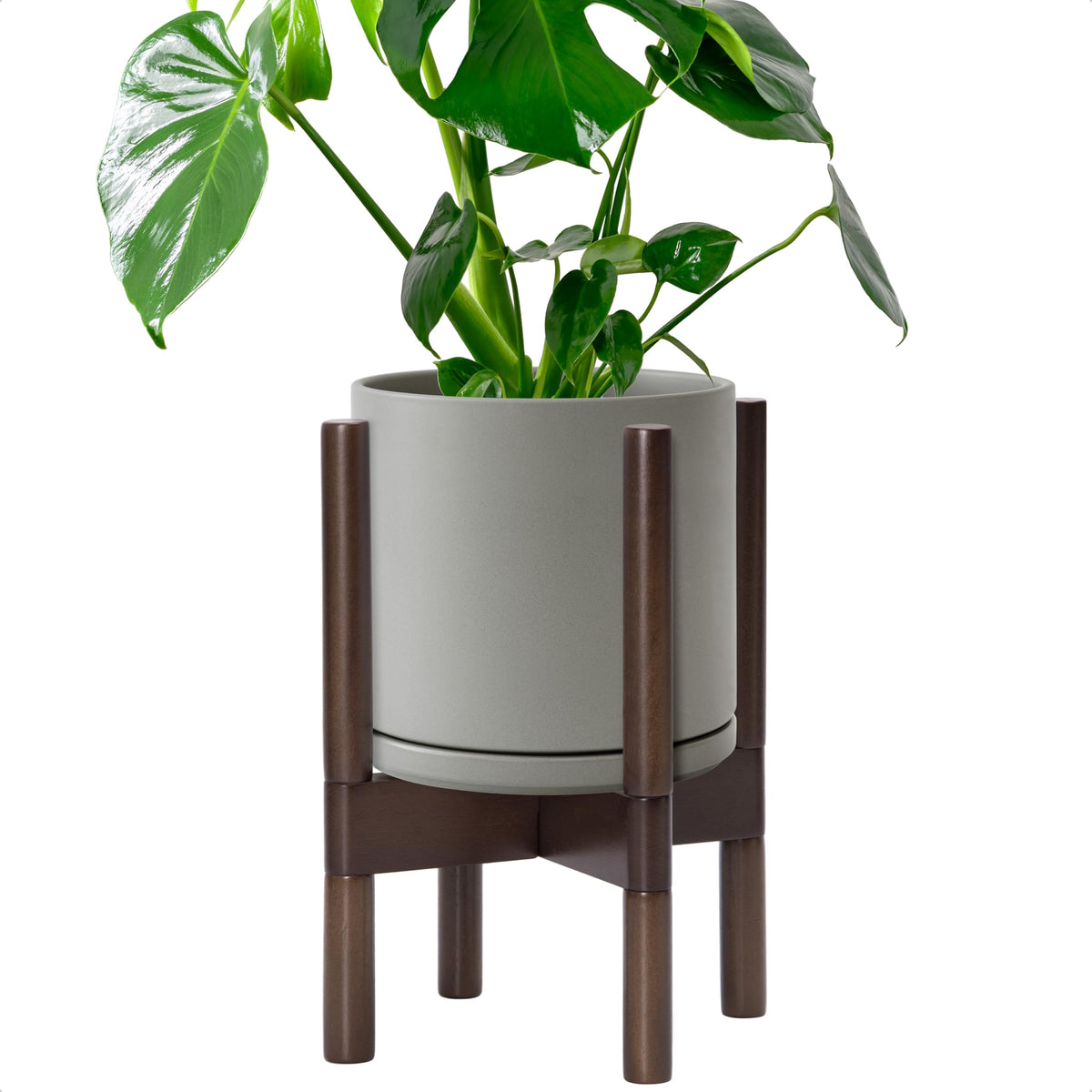 D'vine Dev maceta frontal gris mostrando diseño cilíndrico y acabado elegante