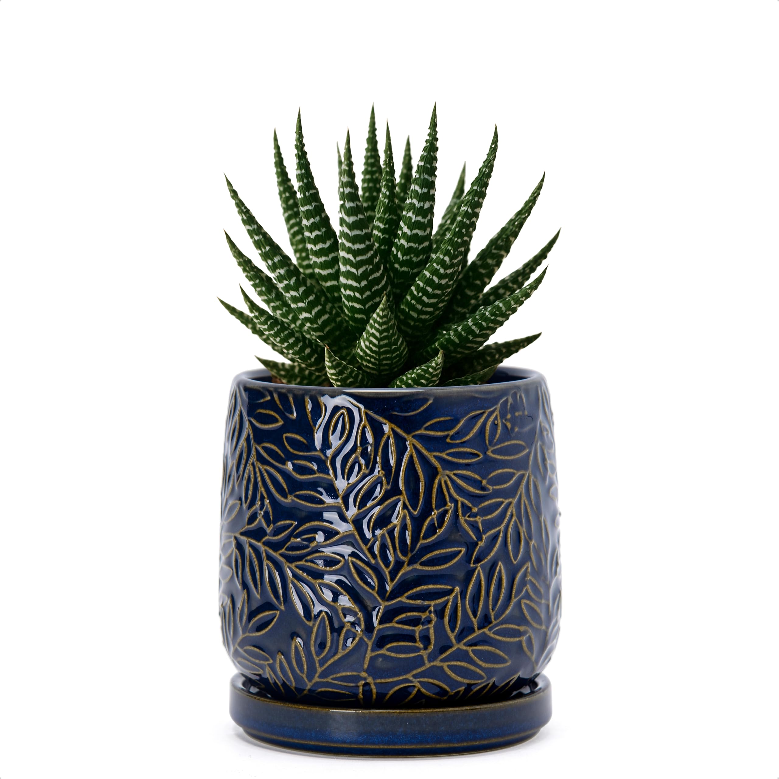 D'vine Dev maceta frontal azul midnight con relieve, elegante y compacta